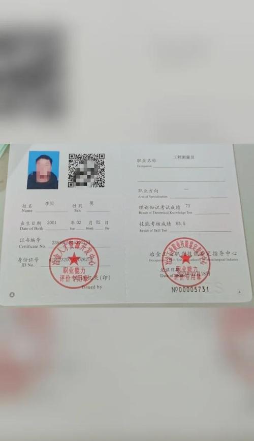 新蓝领职业认证*(新蓝领的工作有哪些职业)